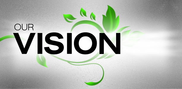 vision